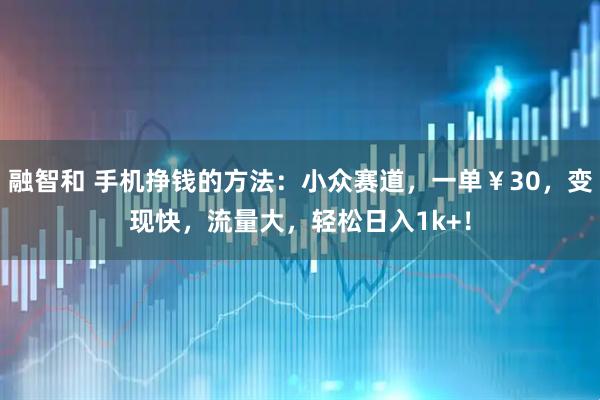 融智和 手机挣钱的方法：小众赛道，一单￥30，变现快，流量大，轻松日入1k+！