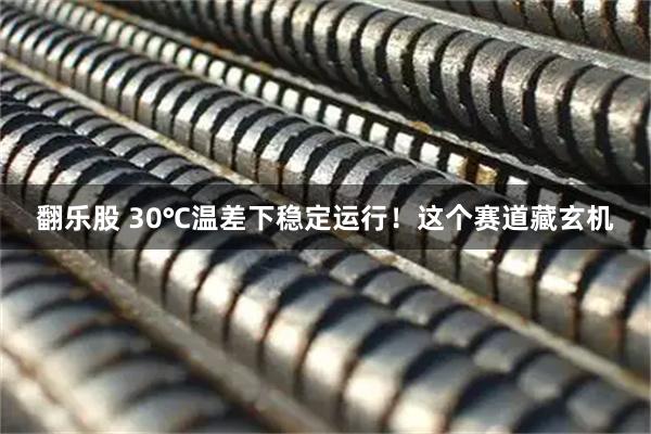 翻乐股 30℃温差下稳定运行！这个赛道藏玄机