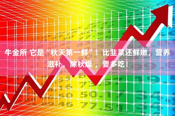 牛金所 它是“秋天第一鲜”!比韭菜还鲜嫩,营养滋补,除秋燥 ,要多吃!