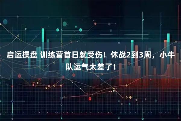 启运操盘 训练营首日就受伤!休战2到3周,小牛队运气太差了!