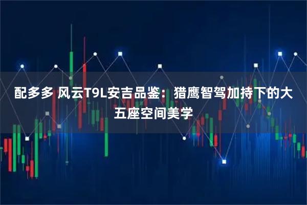 配多多 风云T9L安吉品鉴：猎鹰智驾加持下的大五座空间美学