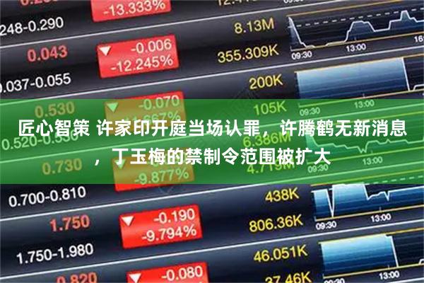 匠心智策 许家印开庭当场认罪,许腾鹤无新消息,丁玉梅的禁制令范围被扩大