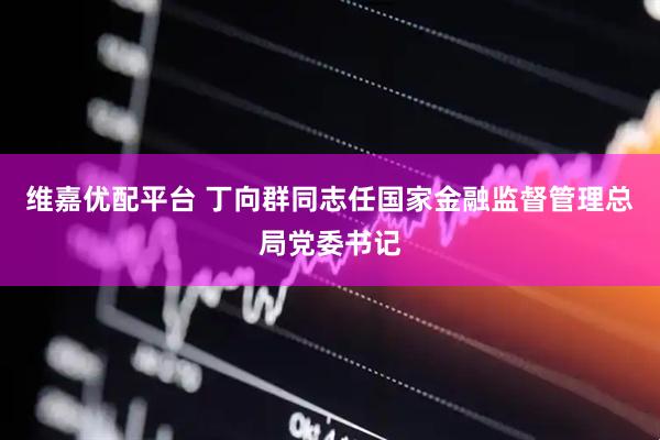 维嘉优配平台 丁向群同志任国家金融监督管理总局党委书记
