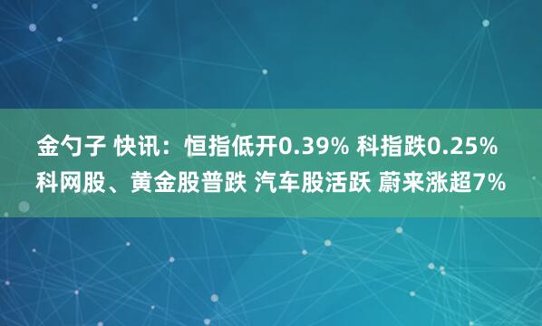 金勺子 快讯：恒指低开0.39% 科指跌0.25% 科网股、黄金股普跌 汽车股活跃 蔚来涨超7%